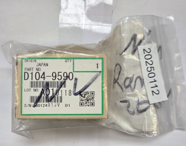 Ricoh NV RAM D104-9590 OVP (20250112)